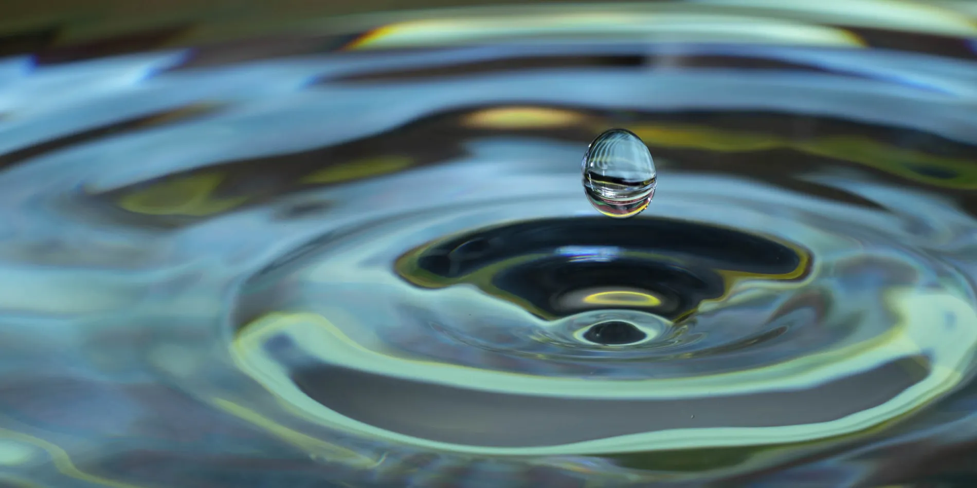 A drop of water on a leaf, close up