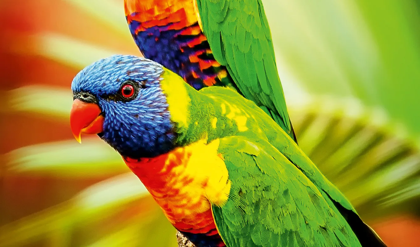 Biomimicry Sustainable Community Manager